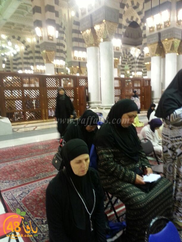 mo3tmreen yfasafa3 (30).JPG